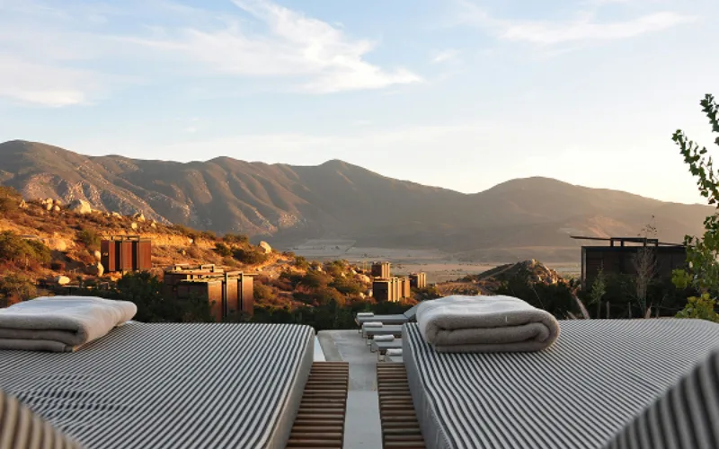 Our story our promise